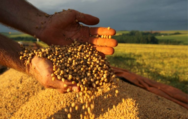 1 em cada 5 agrotóxicos liberados no último ano é extremamente tóxico