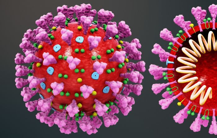 15 perguntas e respostas sobre a pandemia de coronavírus