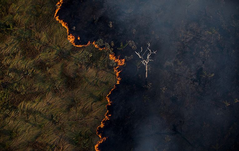 2020: que ano foi esse? O meio ambiente, entre o fogo e a boiada