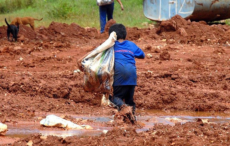 A cada 15 dias morre uma criança vítima do trabalho infantil no Brasil