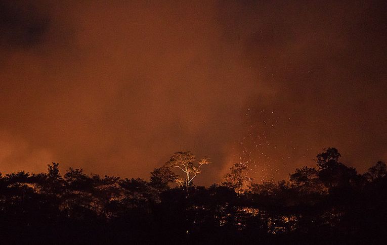 Acordo de Paris completa cinco anos, e Brasil retrocede nas políticas ambientais