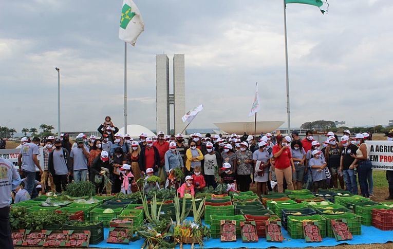 Agricultores pressionam Congresso pela derrubada de vetos de Bolsonaro a auxílio