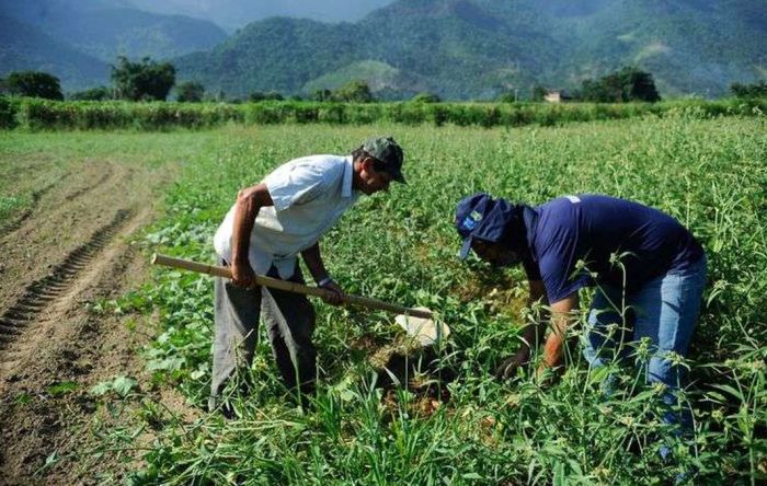 Agricultura familiar pode sofrer colapso com vetos de Bolsonaro a medidas urgentes