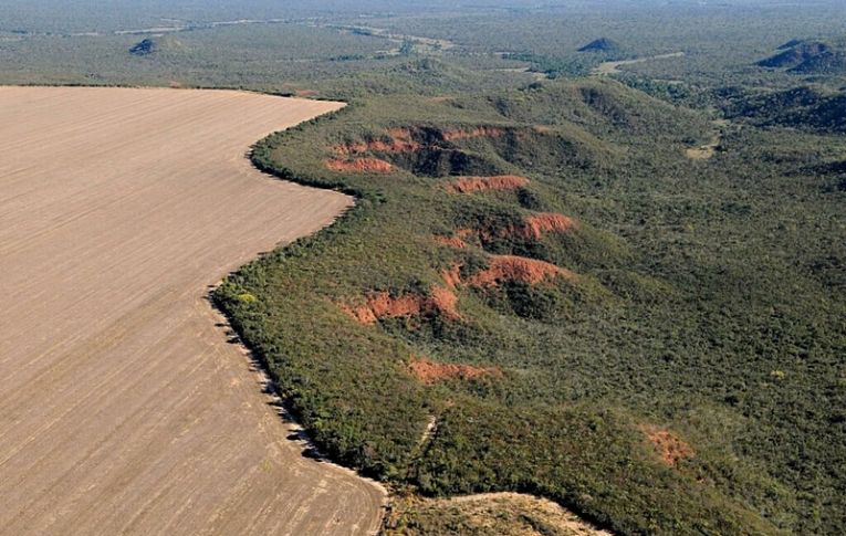 Alertas de desmatamento em 2023 caem pela metade na Amazônia, mas sobem no Cerrado