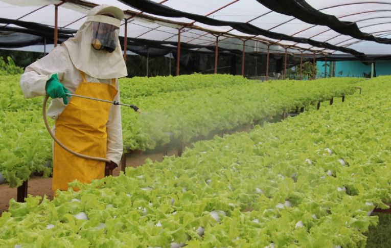 Anvisa encontra resíduos de veneno ‘chumbinho’ na comida do brasileiro