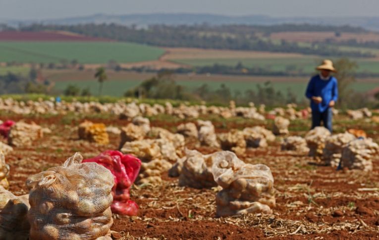 Bolsonaro age para sufocar agricultura familiar e pequenos produtores