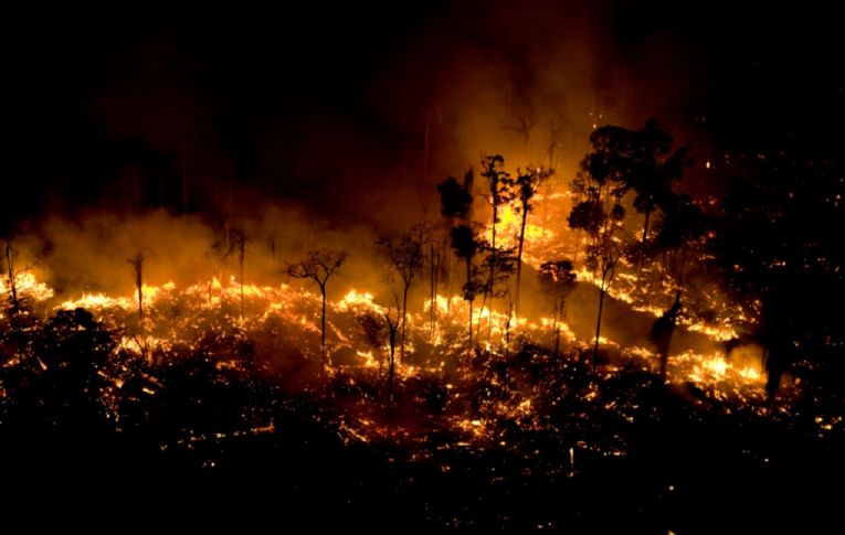 Brasil só terá importância geopolítica se preservar a Floresta Amazônica