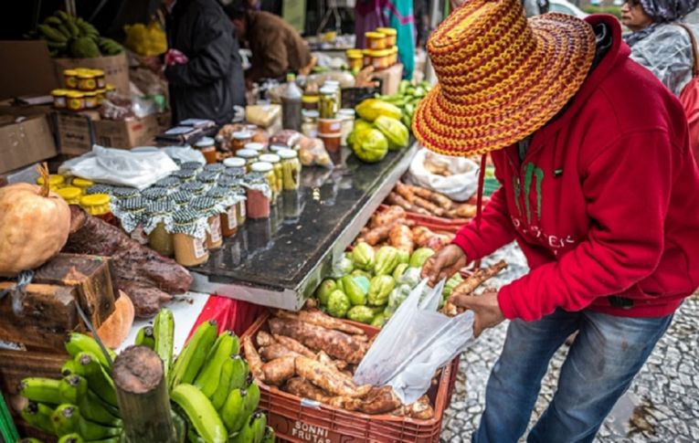 Brasil tem tudo para adotar a agroecologia como modelo na produção de alimentos