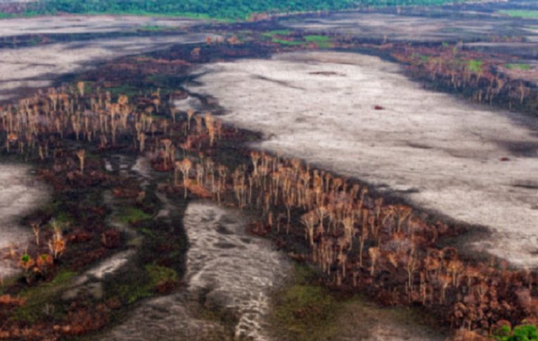 Carlos Nobre: ‘Zerar o desmatamento é pouco, tem de restaurar a Amazônia’