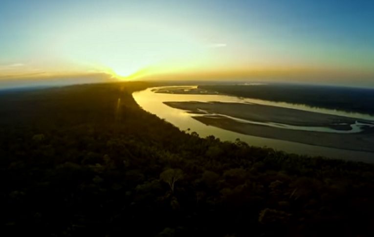 Com Bolsonaro, Amazônia tem a maior taxa de desmatamento desde 2008