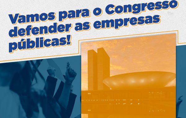 Comitê realiza mobilização no Congresso em defesa das empresas públicas