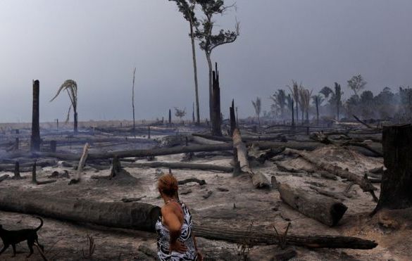 Congresso pode liberar fazendas para desmatar até 50% de terras na Amazônia