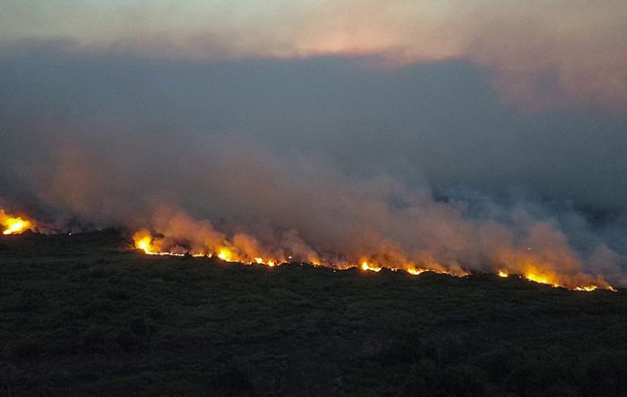 "Consequências são irreparáveis", diz indígena Terena sobre destruição do Pantanal