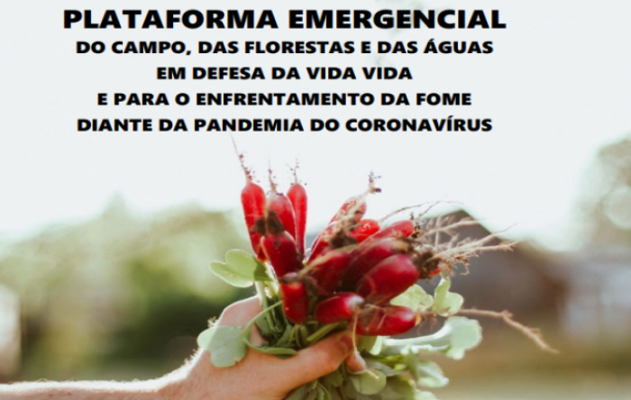 CUT e entidades lançam Plataforma Emergencial em Defesa da Vida