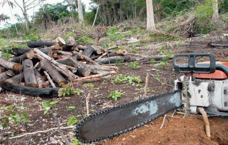 Degradação ambiental é tema do Fórum Popular da Natureza, com início nesta segunda