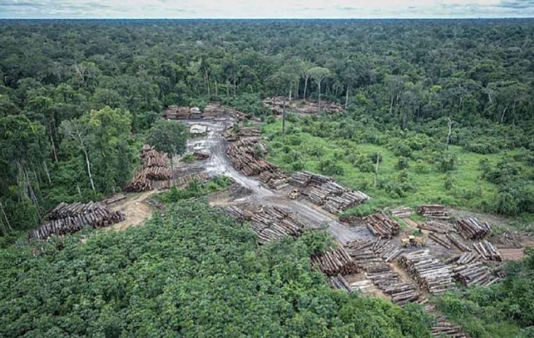 Destruição da Amazônia vai muito além do desmatamento recorde