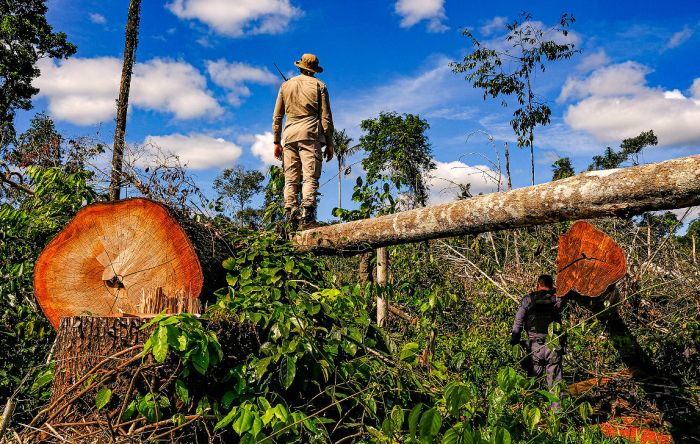 Dieese defende ‘empregos verdes’ para o pós-pandemia