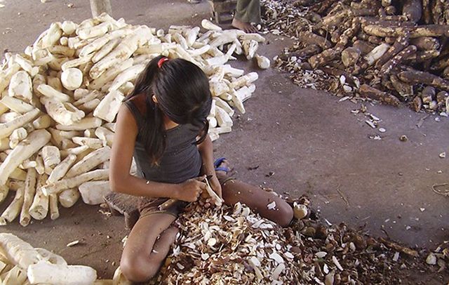 Em silêncio, 261 crianças morreram trabalhando no Brasil