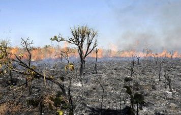 Encontro de Salles com ruralista confirma 'morte por inanição' do Meio Ambiente