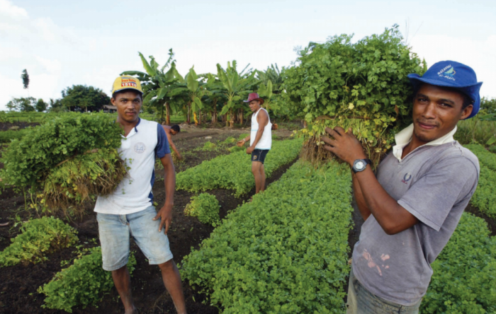 Enquanto a fome cresce no Brasil, Bolsonaro reduz recursos para agricultura familiar