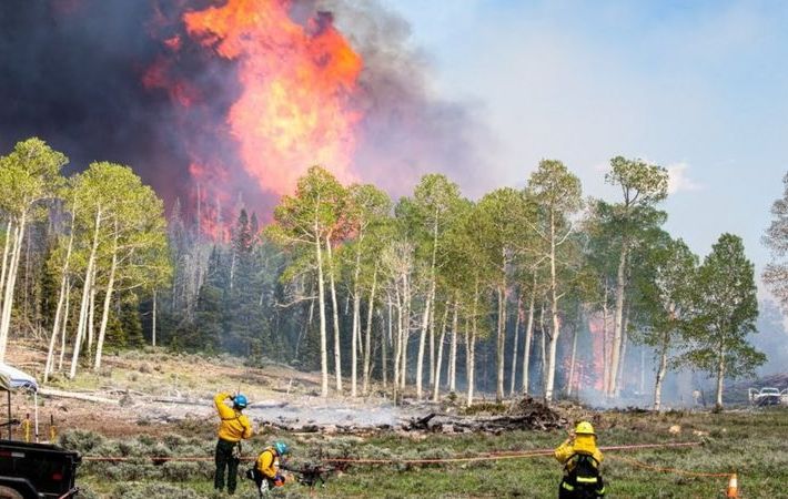 Fumaça de incêndios florestais pode ser nova rota de disseminação de doenças infecciosas