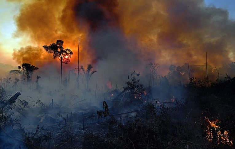 Fusão entre Ibama e ICMbio irá paralisar políticas ambientais, alerta servidor