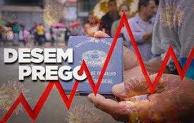 Governo admite desastre: desemprego pode chegar a 18,5% em 2021