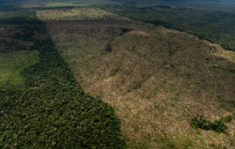 Governo Bolsonaro: Amazônia registra maior devastação em 15 anos