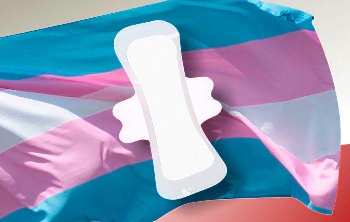 LGBTQIAP+: Oferta de absorventes pelo SUS beneficiará todas as pessoas que menstruam