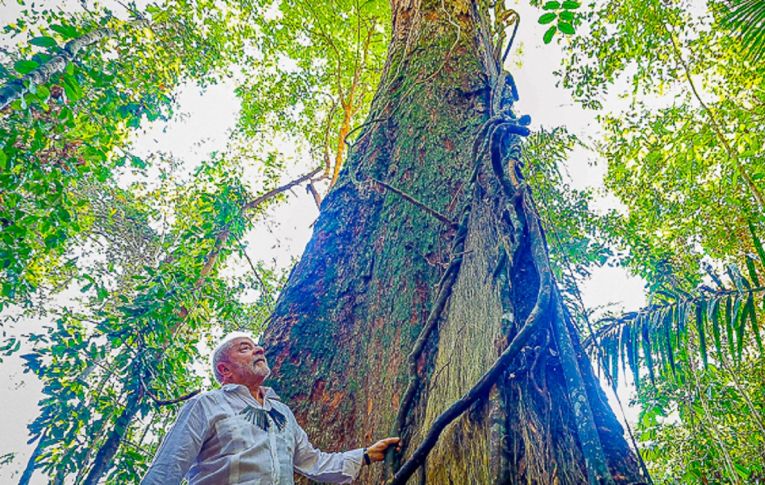 Lula edita medidas protetivas ao meio ambiente e a indígenas