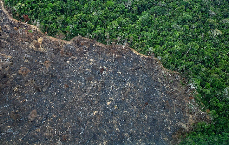 Marco temporal põe em risco serviços ambientais e agrava mudanças climáticas , diz relatório