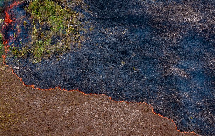 Ministério do Meio Ambiente tenta reduzir meta de preservação da Amazônia