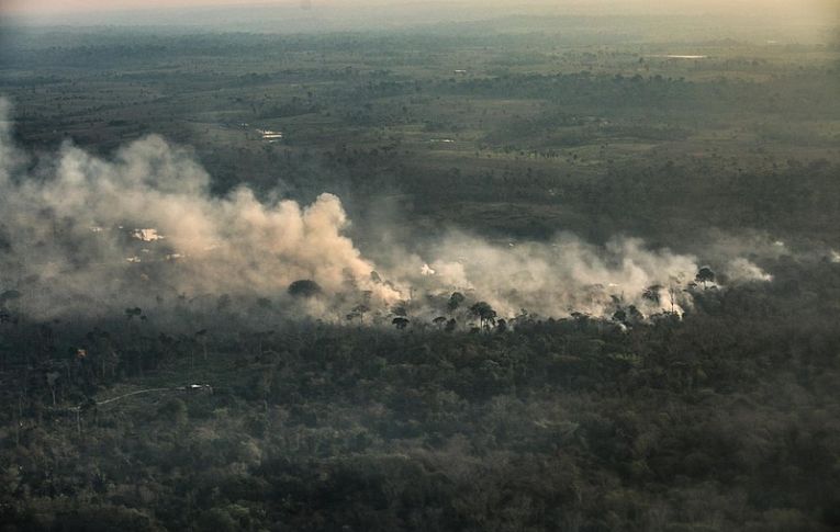 Nem caboclos, nem indígenas: desmatamento e grilagem queimam a Amazônia, diz estudo