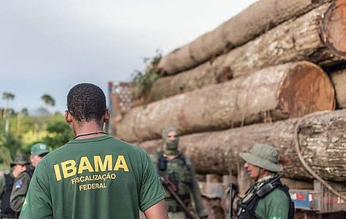 No governo Bolsonaro, número de fiscais do Ibama despencou e desmatamento disparou