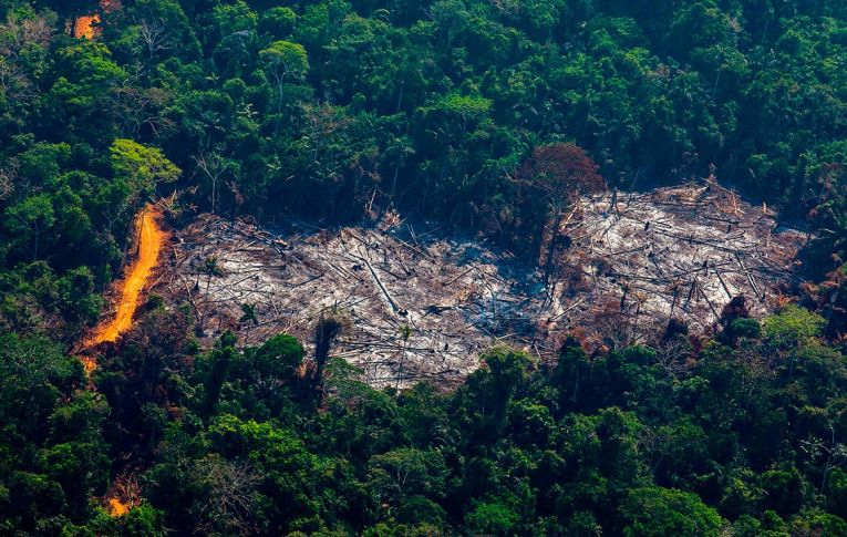 O Plano de Bolsonaro: Paranoia Amazônia