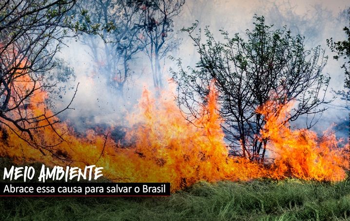 Pacote da destruição: é a porteira aberta para a boiada passar