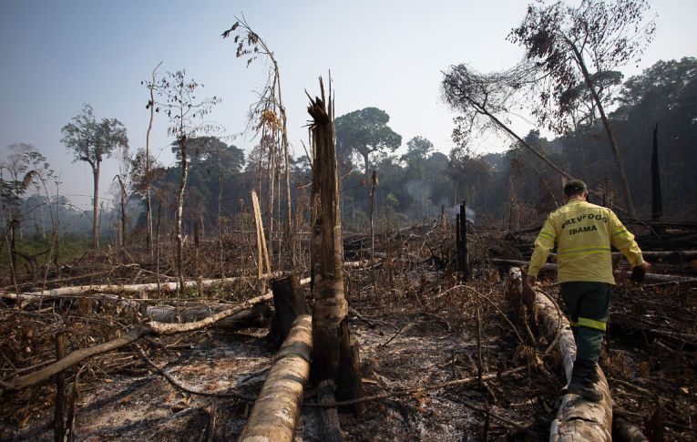 Pesos pesados entram em ação para defender Amazônia e democracia