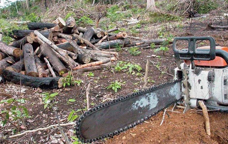 Projeto na Câmara derruba licenciamento ambiental e ameaça recursos naturais