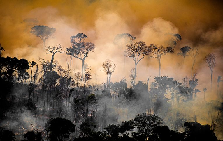 Queimadas recordes aceleram "desamazonização" cultural da Amazônia