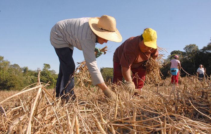 Temer não assenta nenhuma família e corta orçamento da agricultura familiar 