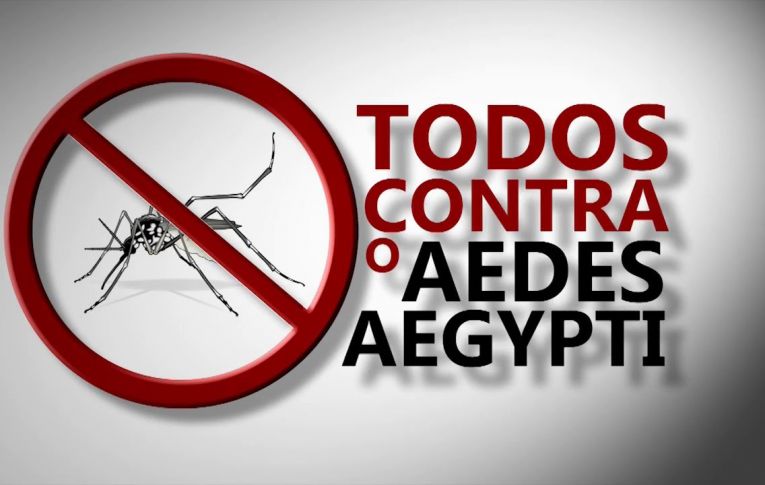 URGENTE! Aedes Aegypti torna-se uma grande ameaça para a saúde nas Regiões Oeste e Noroeste do Paraná