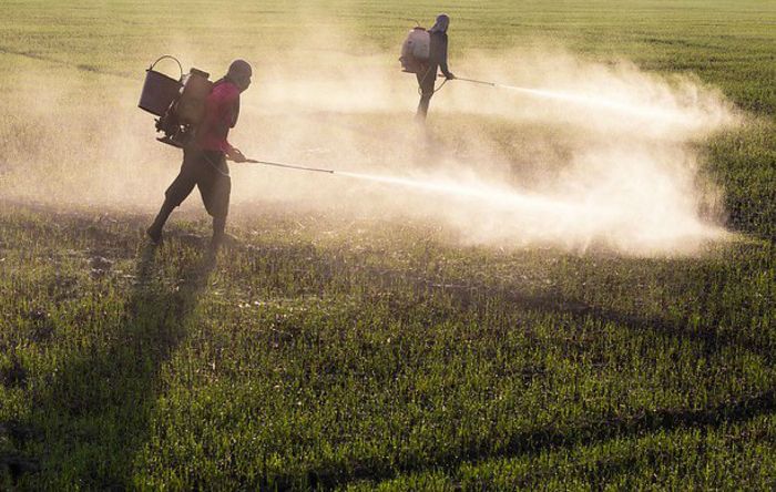 Vacina, não; veneno, sim. Governo Bolsonaro libera 10 agrotóxicos produzidos na China