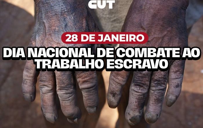 Mais de 2 mil pessoas foram resgatadas de trabalho análogo à escravidão em 2024 