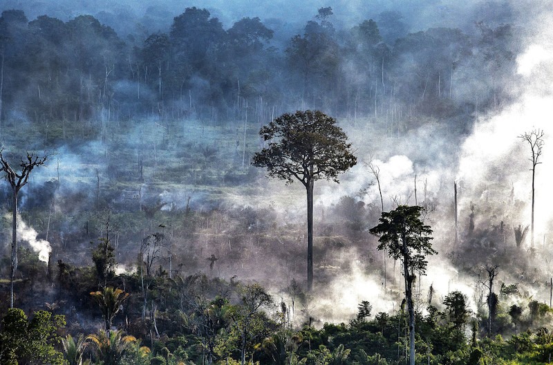 https://apublica.org/2020/05/o-problema-nao-e-o-ataque-contra-o-cimi-e-sim-o-ataque-mortal-contra-os-povos-indigenas-diz-dom-roque/?mc_cid=a80aac23c6&mc_eid=325e2eb9c3