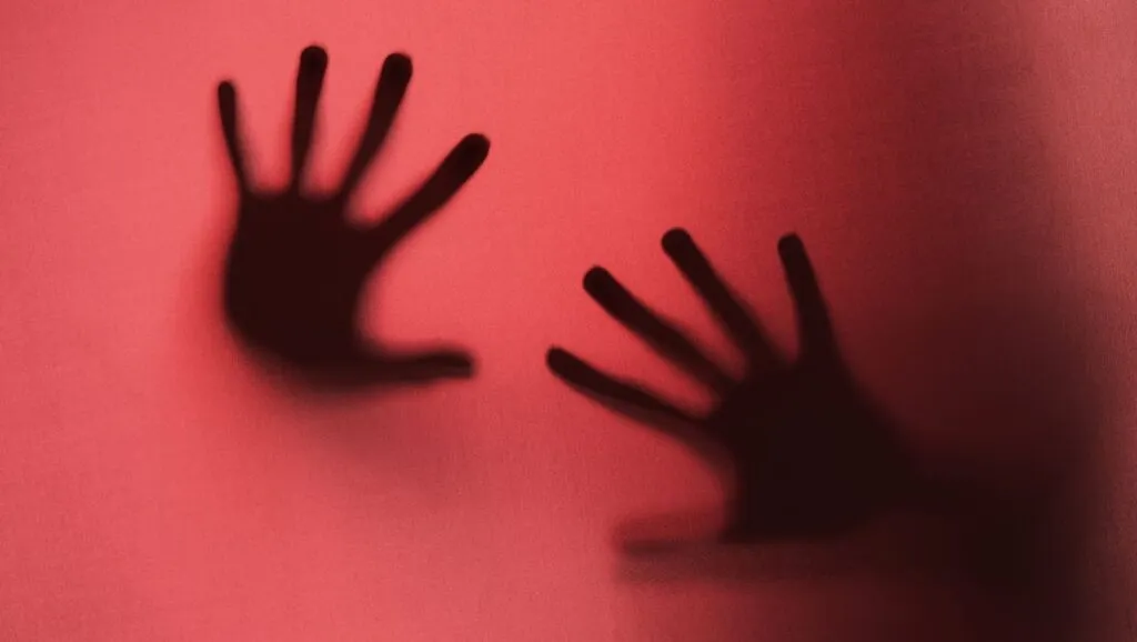 Nova lei amplia para um ano prazo para denunciar violência doméstica
